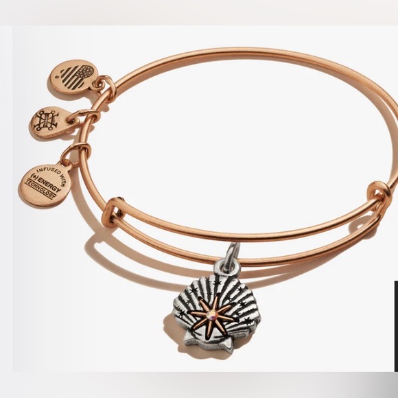Alex and Ani Jewelry - NWT/BOX Alex and Ani Star of Venus Charm Bangle